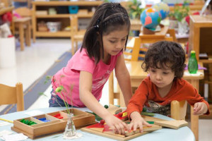 montessori-access-children-helping-one-another